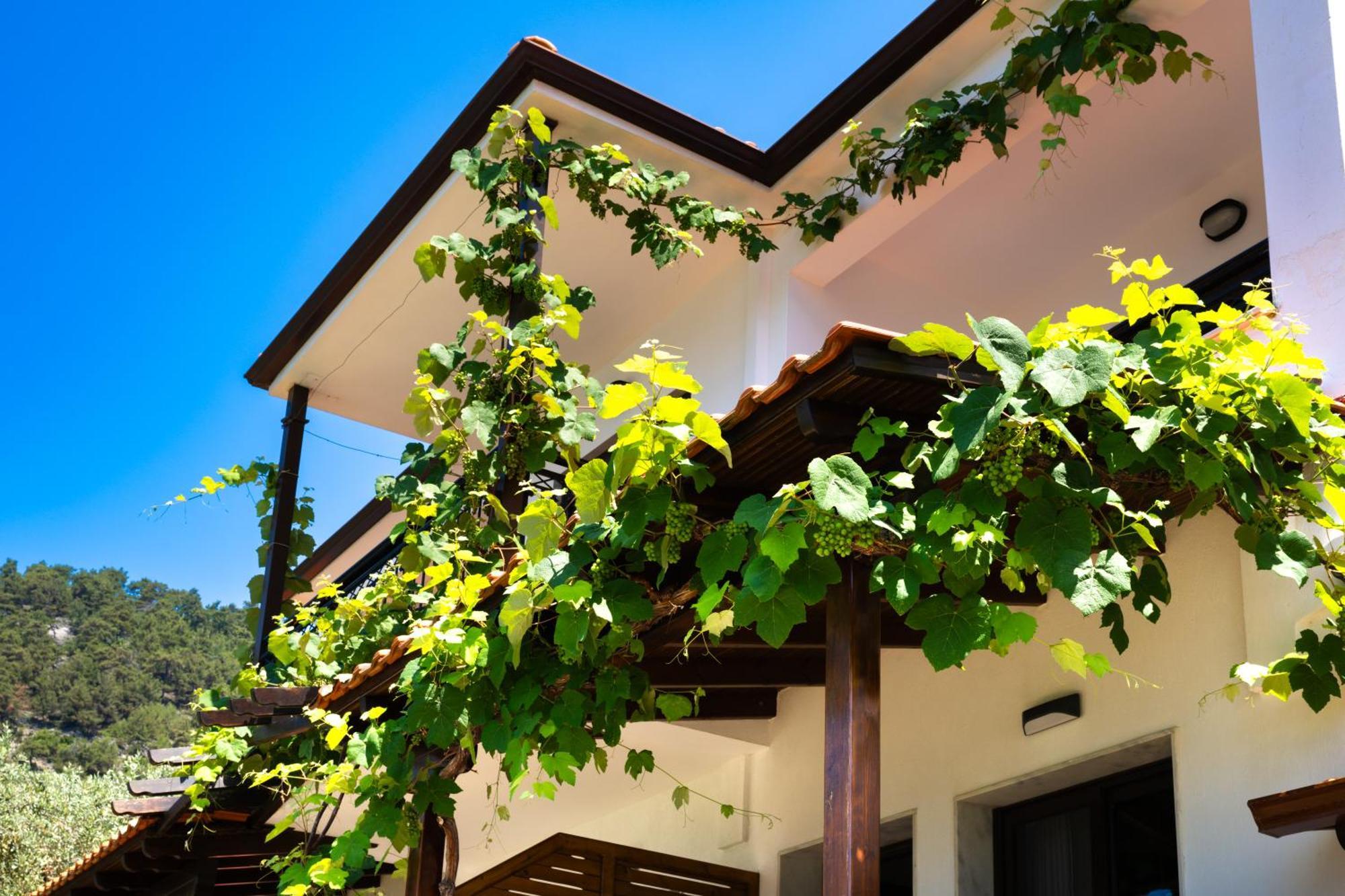 Island View Villa Golden Beach  Экстерьер фото